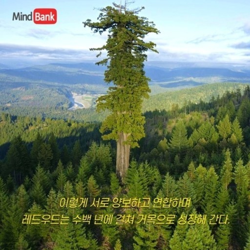 fd90e92f3f0831ff14f191bcc9aa7c8b_1743111061_0419.jpg fd90e92f3f0831ff14f191bcc9aa7c8b_1743111061_0419.jpg